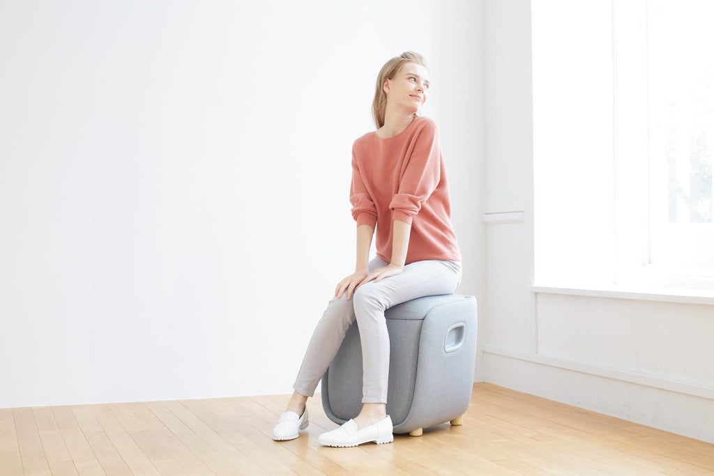 欣贺公司(SYNCA REi